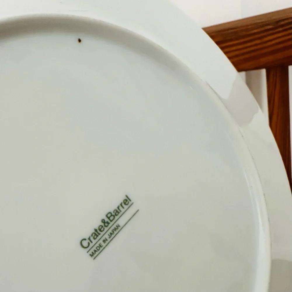 Set of 2 Crate&Barrel Tree Dinner Plates Made in Japan Crate and Barrel Vintage
